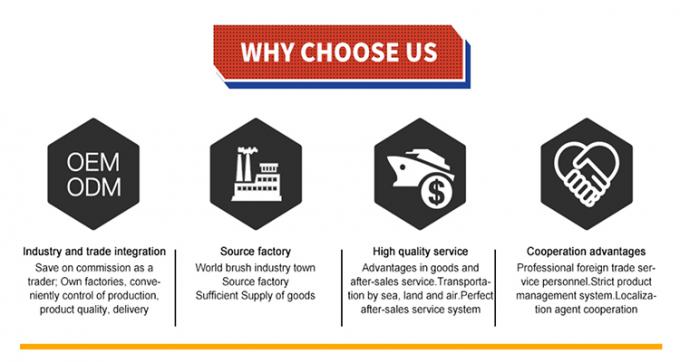 Singola testa dell'acqua della spazzola telescopica di Fed Pole Solar Panel Cleaning 9